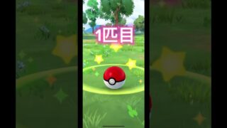 コレクレーの色違いの旅１日目！#ポケモンgo #ポケモン #コレクレー #色違い