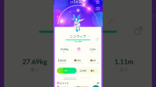 色違いニンフィア#色違い #ニンフィア #ポケモンgo