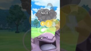 【ハイパーリーグ】普段使われないパーティを使ってみた！#ポケモンgo #gbl