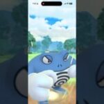 環境上位に意外とぶっ刺さる！スーパーリーグでニョロボンがいい感じ #ポケモンgo #goバトルリーグ #ニョロボン