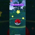 ゾロア　ポケモンgo #ポケモン #ポケモンgo #pokemon #pokemongo