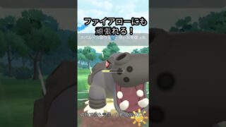 陽光カップはカバルドンが強いかも！？ #ポケモンgoバトルリーグ #ポケモンgo #スーパーリーグ #pokémongo  #ポケモン #pokemon #陽光カップ #ゲーム