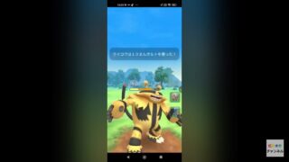 ポケモンgo トレーニングバトル part84 マスターリーグ