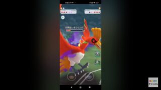 ポケモンgo トレーニングバトル part86 マスターリーグ