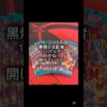 #ポケカ #ポケモンカード #毎日ポケカ開封 #毎日開封動画 #pokemon #ポケモン #pokemoncards