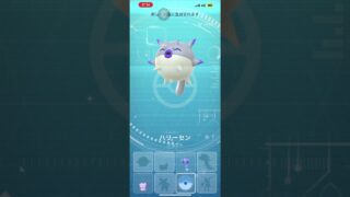 ハリーセン(色違い)