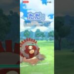 ガチグマ主役会