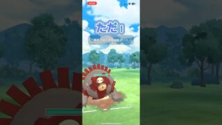 ガチグマ主役会