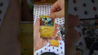 ポケモンカードブラックボルトホワイトフレアカードファイルセット開封！#ゲンゲン #ホワイトフレア#ブラックボルト#ポケモン#ポケモンカード#ポケモンカード開封