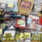 ウルトラ超大量のポケカ開封したら大当たり出るのか？【ポケモンカード／ポケモン】
