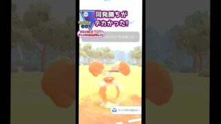 ココ同発は勝っていく!!　vsシャドウドラピオン,ブルンゲル,ホルード【ポケモンGO】【GOバトルリーグ】#ポケモンgo #games