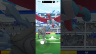 キュレムいないと、1人討伐は厳しそう🫣 #ポケモンgo #pokemongo #メガボーマンダ #レイド