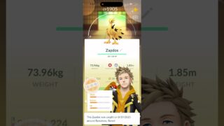 19 Galarian birds/Golden bottle cup update #pokemongo #pokemon
