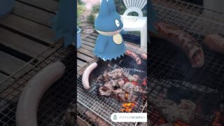 ゴンベと夏のBBQ🍖デート❤️#shorts #pokemon #ポケモンgo #お肉