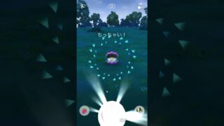 色違いパールルだけは絶対にGETしたい◓⃙⁣ #ポケモンgo #色違いポケモン #パールル