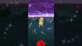 ポケモンGO ｜#061｜無課金｜ Pokémon GO