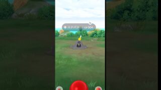 無課金でポケモンGO スナバァ　色違いゲットだぜ！