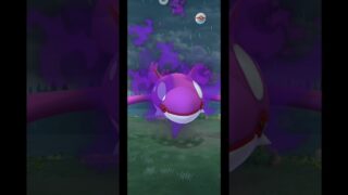 シャドウカイオーガ色違い【ポケモンGO】