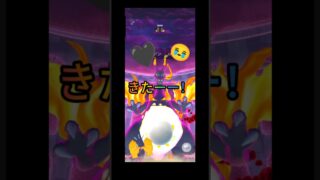 リザードンをみんなで討伐！！#ポケモンGO#キョダイマックス#リザードン#色違い#善逸#さかな#魚