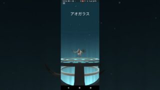 色違いココガラ進化【ポケモンGO】コミュニティデイ