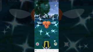 色違い　ミツハニー　メス　ポケモンGO