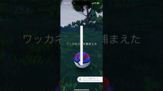 【ポケモンGO】ワッカネズミ【色違い】