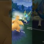 ポケモンGO 【伝説狩り】通常マスターリーグ 滝レーヌ、Lカイリュー、ドサイドン