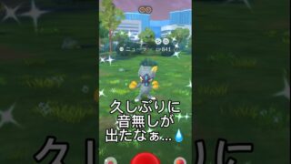 【ポケモンGO】ウトウトしながら編集する中の人　#ポケモンgo #ポケモン #色違い #shorts
