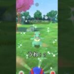 【ポケモンGO】保護色みたいな色違いが出た！！　#ポケモンgo #ポケモン #色違い #shorts