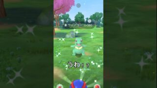 【ポケモンGO】保護色みたいな色違いが出た！！　#ポケモンgo #ポケモン #色違い #shorts