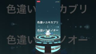 ポケモンGO 色違いユキカブリ出現！色違いユキノオーへ進化！ #ポケモン #pokémon #ポケモンgo #pokemongo