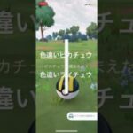 ポケモンGO ハットを被った色違いピカチュウ出現！色違いライチュウへ進化！ #ポケモン #pokémon #pokemongo #ポケモンgo色違い