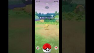 ポケモンGOしたら野生のヤミラミの色違いを捕まえました。星3でした。よかったらチャンネル登録高評価コメントよろしくお願いします。