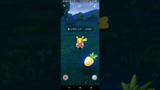 【ポケモンGO】ピカチュウGETチャレンジ。