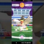 ポケモンGO「ソロレイドでカモネギ（ガラルのすがた）をGETするまで」（2）