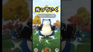 【GOワイルドエリア】カビゴンレイドで光っていく!【ポケモンGO】