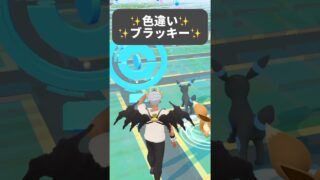 【ポケモンGO】色違いブラッキーが現れた!!【✨When I Got Shiny Umbreon Pokémon GO✨】【Pokemon Card Artwalk】【ポケポケ】