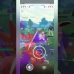 【ポケモンGO】プクリンはシャドウハッサムの起点に！【スーパーリーグ】【バトルリーグ】#shorts #ポケモンgo #goバトルリーグ #gbl #スーパーリーグ #pokemongo