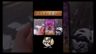 【ポケモンGO】今日はココガラのコミデイです！是非ココガラ色違い狙いましょう！#shorts #pokemongo #pokemongocommunityday #ポケモンgo #ポケモンgo色違い