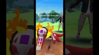 Hundo Team in the Summer Cup PvP