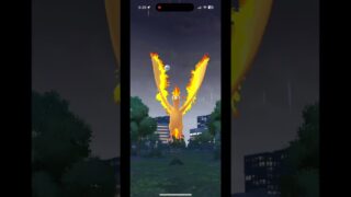 Level 50 Dreams – Pokémon GO Journey (GO Pass Deluxe Rank 100, Shiny Moltres & Coney Island Nights)