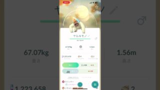 #Pokémon Go #色違いバイザーヤルキモノ #ポケモンゴー