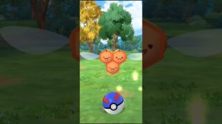 Pokémon Go Catching Shiny Combee