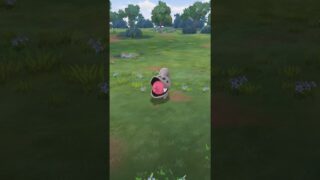 Pokemon Go Shenanigans