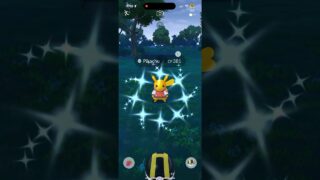 Shiny Varsity Jacket Pickachu ✨ 0025 caught in Pokemon GO during 2025 World Championship Event