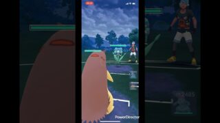 バクフーンVSフラージェス