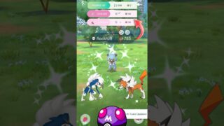 When I Got Wild✨️Shiny Lycanroc Key🔑 Evolution in #pokémongo
