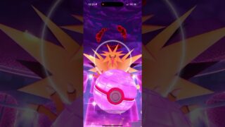 特別背景サンダーゲットd(^_^o) #ポケモンgo #ダイマックス#サンダー