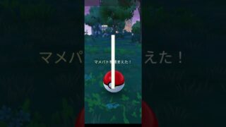 【色違い】マメパト　ゲットチャンス！#ポケモンgo