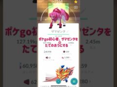 ポケgo初心者、ザマゼンタをたてのおうにする